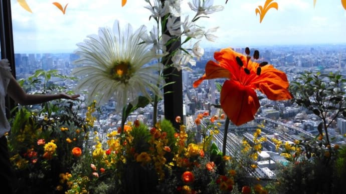 2024・8・1 渋谷スカイ「FLOWer View | 渋谷上空229mのフラワーウォーク」