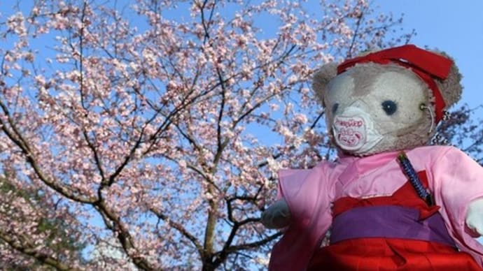 錦町公園 わず