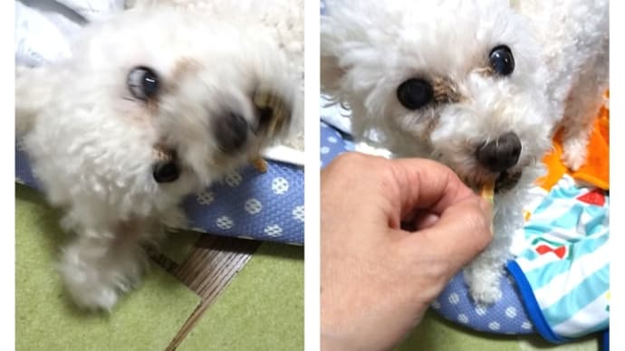 ワクチン二度目のその後・・・