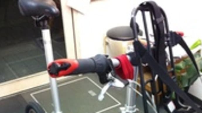 DAHON Curve D3 + ライトホルダー