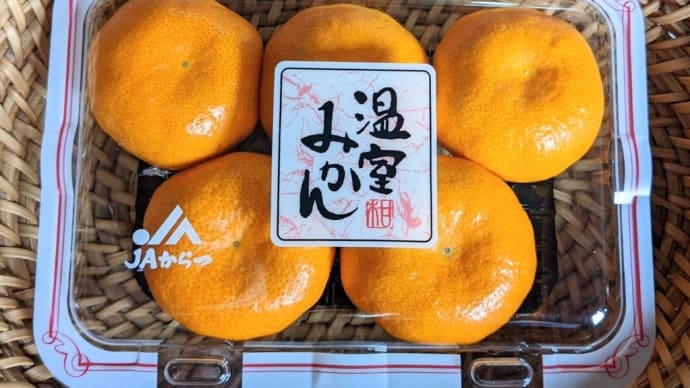 温室みかん