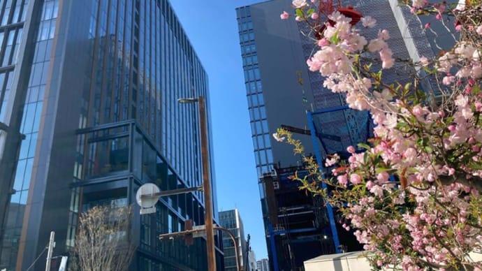 久しぶりに天神へ【福岡市社交ダンス教室・福岡市社交ダンススタジオ・薬院、柳橋、渡辺通・福岡のダンススクールライジングスター】
