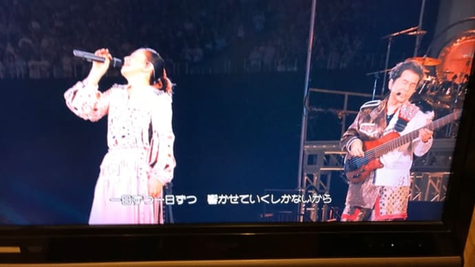 代謝があがるDVD観賞