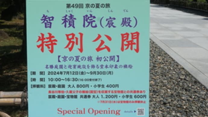 なんか空いてて、ゆっくり過ごせるね～「京の夏の旅」で行った「智積院」。名勝庭園や堂本印象の襖絵など