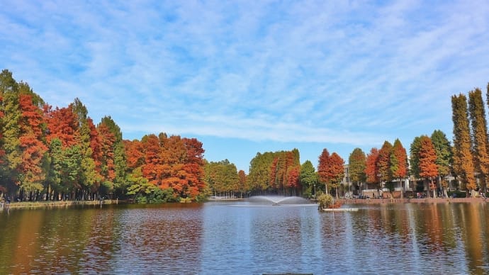 思い出の別所沼公園