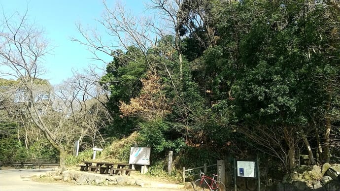 桜はまだかな