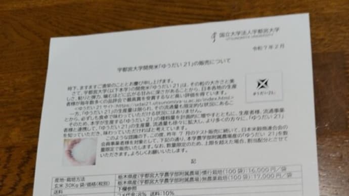 ゆうだい21