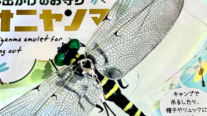 オニヤンマくんパワーアップ計画