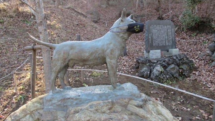 衣笠山公園の忠犬タマ公が『マスク』？！