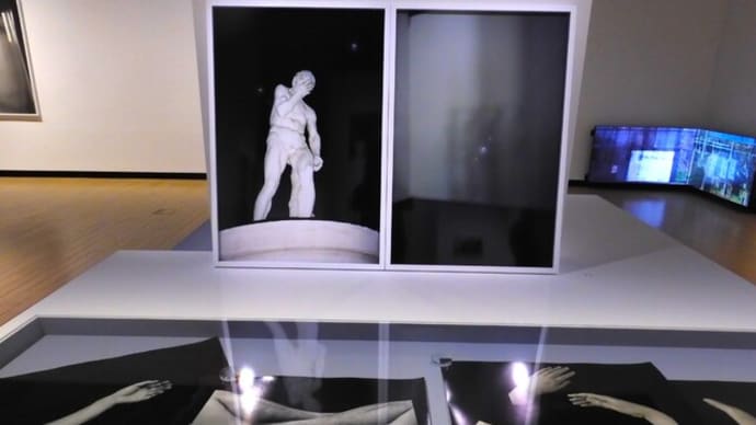2025・4・7 東京都写真美術館 総合開館30周年記念「鷹野隆大 カスババ -この日常を生きのびるために-」