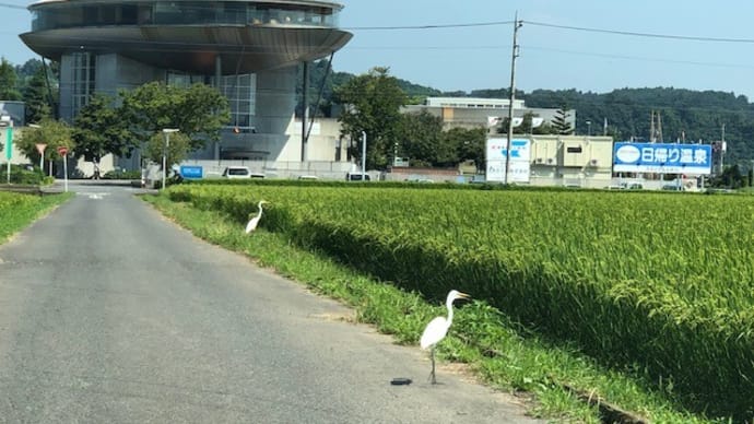 新聞にもでてました