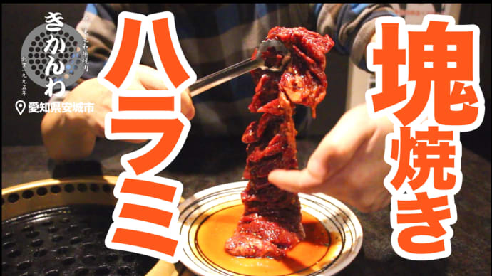 【牛ハラミ塊肉の焼き方】焼肉歴25年のプロが、サガリ（ハラミ）を一本丸ごと焼いてみた。