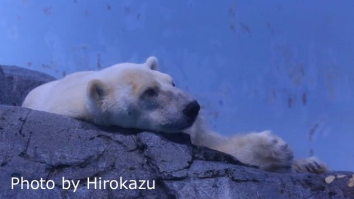 おやつタイムを待つユキ丸君♪(9月16日)