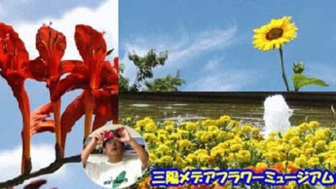 三陽メデアフラワーミュージアムの夏の花