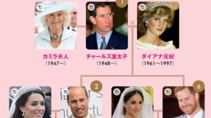 秋篠宮家は五輪で国王一家をおもてなしする立場に無いから簡素化は好都合 公式訪問先が王室の無い国に限定されている理由 1