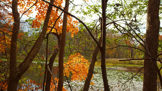 紅葉・長沼⑭大沼国定公園