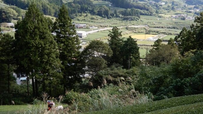 火剣山 靴慣らし散歩も最終