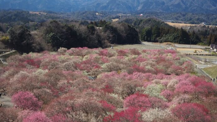 いなべ農業公園 梅林公園へ