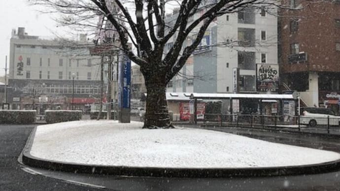 2月12日 春の予感と睡魔