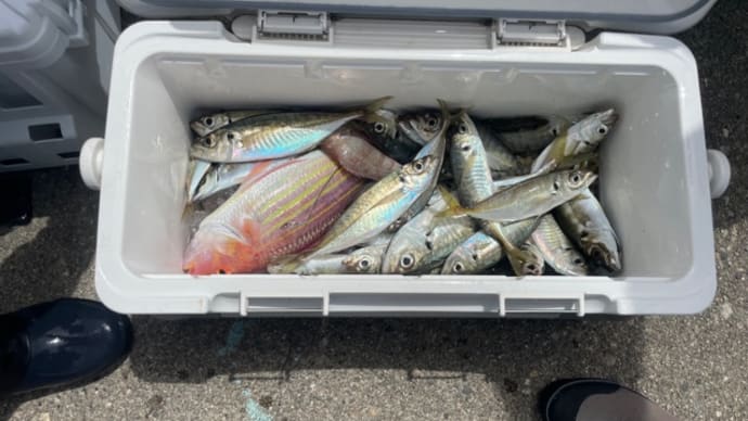 20日・釣果