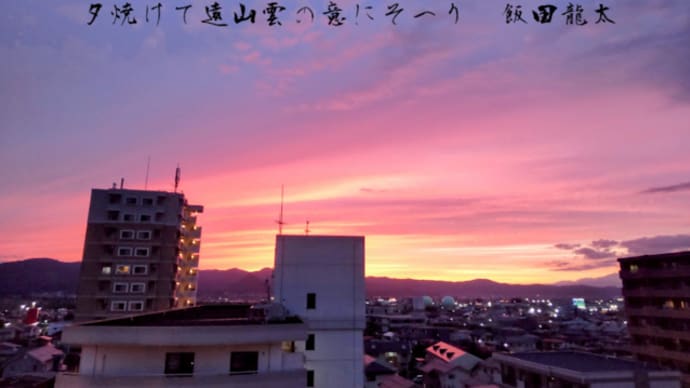 ベランダ園芸