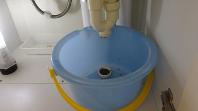 洗面所の排水パイプ洗浄