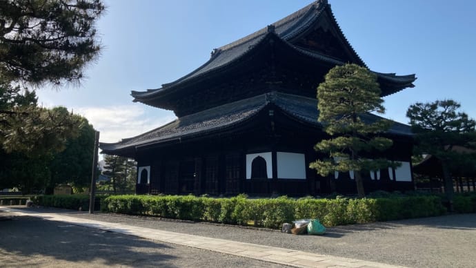 【京都】祇園てくてく散歩・お庭お手入れ中の建仁寺/安井金毘羅宮の縁みくじは悪縁度を%で表してくれるんだぞぉ