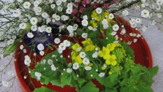 篠窪(しのくぼ)の隣町に 花芸安達流 北澤様の生け花(私はかすみ草 その2)(2022/02/08)