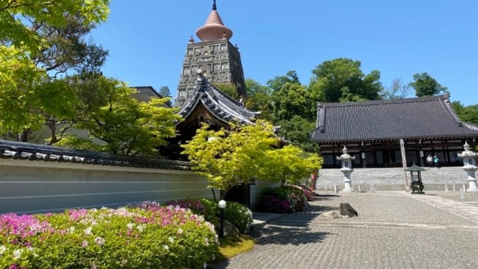京都「妙満寺」のツツジ