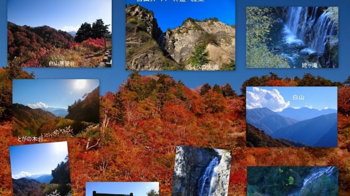 ●過去の白山白川郷ホワイトロードから 紅葉