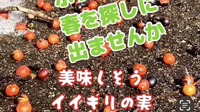 春よこい