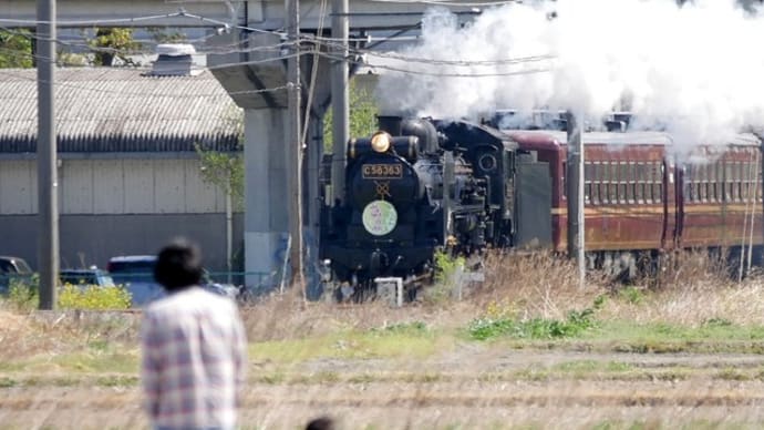 秩父鉄道・・・SLパレオエクスプレス号・・・大麻生から押切あたりを走る