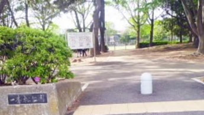 一本松公園コース、やっと5K