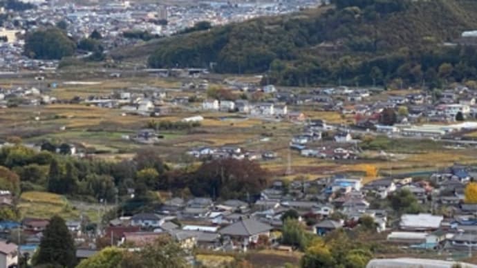 植木の手入れ 笛吹市