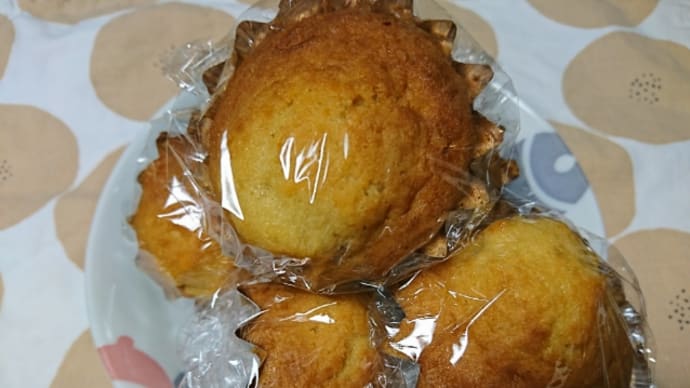 月曜断食9週目(今週△0.7kg、総△7.1kg)