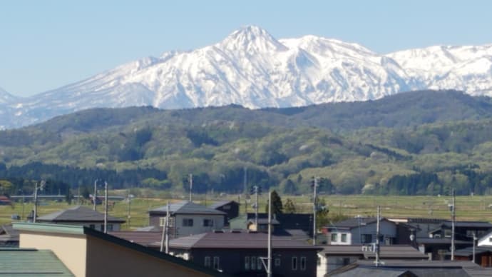 「はね馬」抱く「越後富士」の妙高山