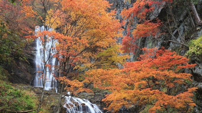 唐沢の滝　紅葉