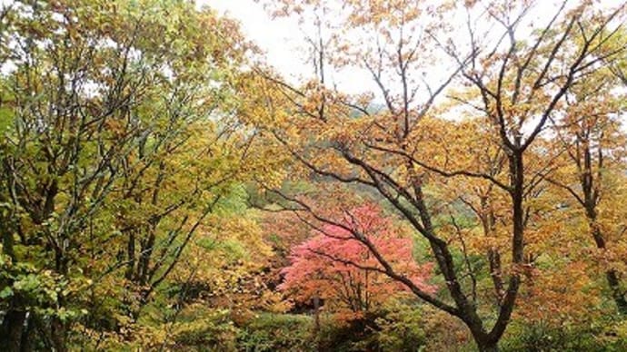 鹿沢高原の秋景色