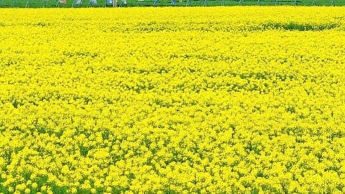 GW休暇のお知らせ