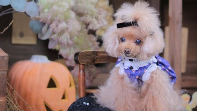 ハロウィン☆