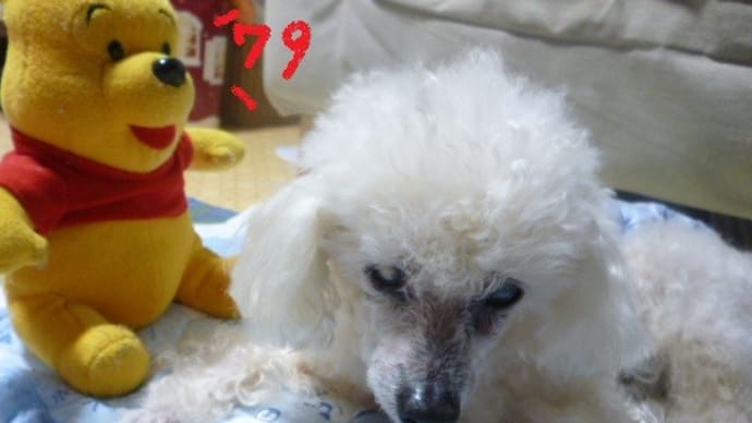 8月6日…広島原爆の日…(-_-)ウーム 今日はすごく蒸し暑い…キティちゃんの8×4