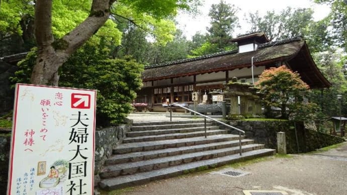 春日大社・藤