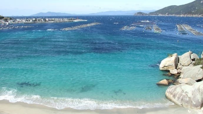 カモメ舞う海~柏島の冬景色
