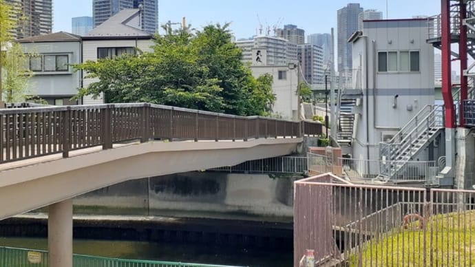 佃島の隅田川土手から