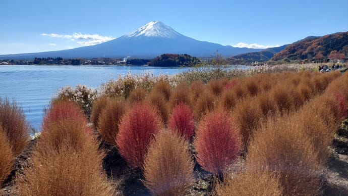 富士山と紅葉