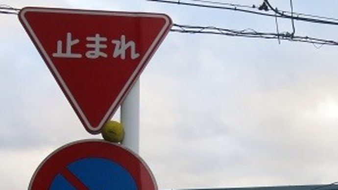 犯人は私です!