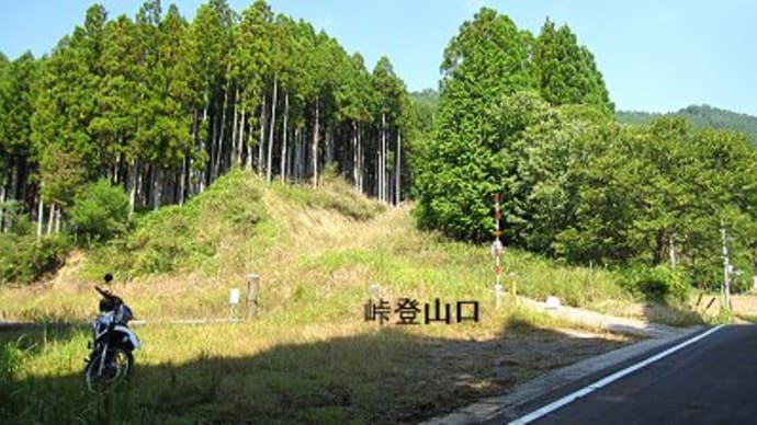 笠ケ城山　669m