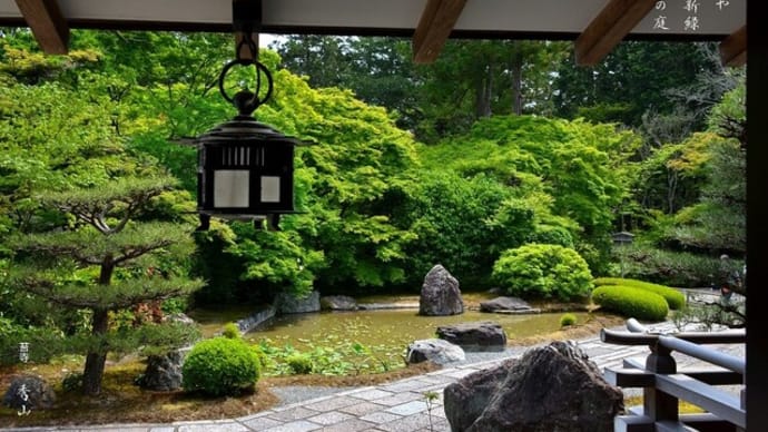 静けさや 写経新緑 寺の庭