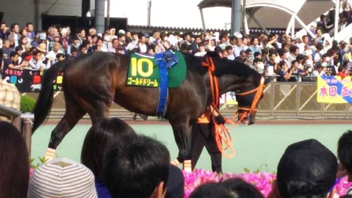 🐴船橋競馬場乱入😆☆かしわ記念　2022