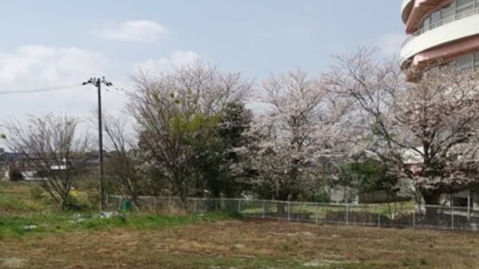 目覚ましちゃる